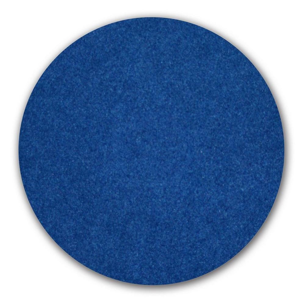 Oreck Orbiter Blue Scrub Pad
