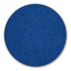 Oreck Orbiter Blue Scrub Pad