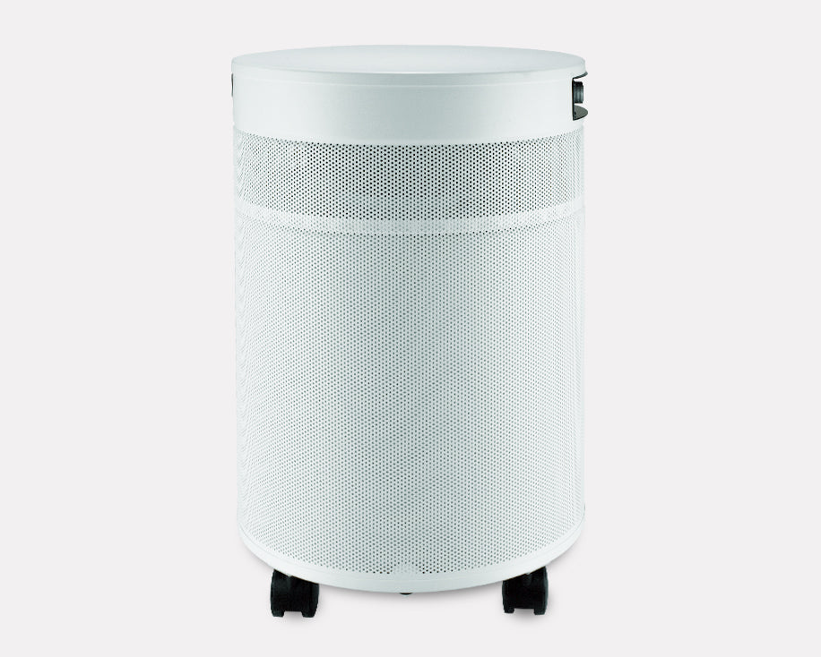 AirPura C600 DLX for Chemicals and Gas Abatement Plus Air Purifier