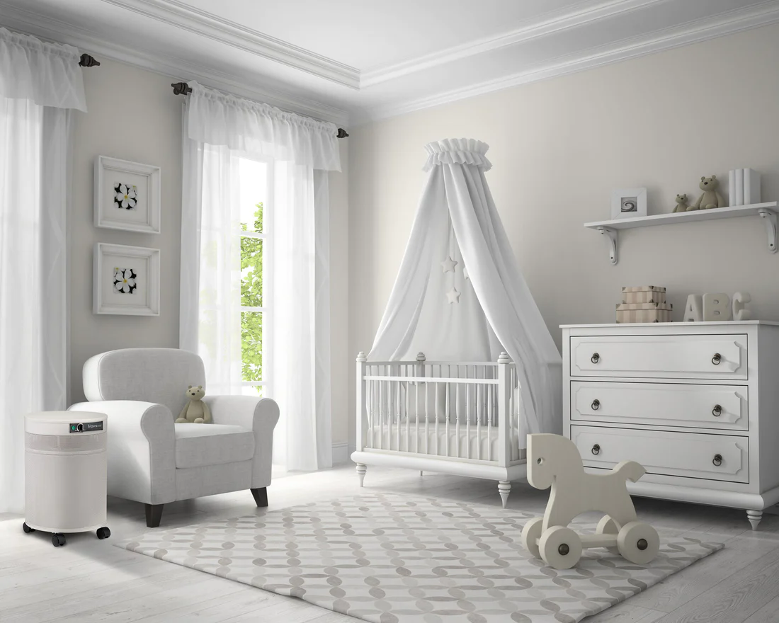 AirPura G600 - Odor-Free Carbon for Chemically Sensitive (MCS) Air Purifier