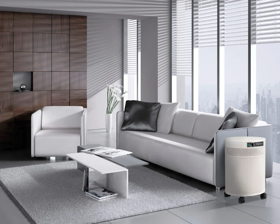 AirPura G714- Odor-Free Carbon for Chemically Sensitive (MCS) Air Purifier