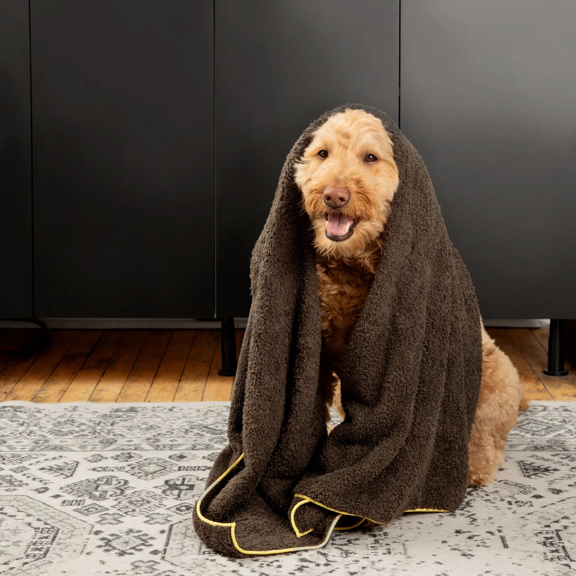 E-Cloth Medium Pet Towel-70603DO