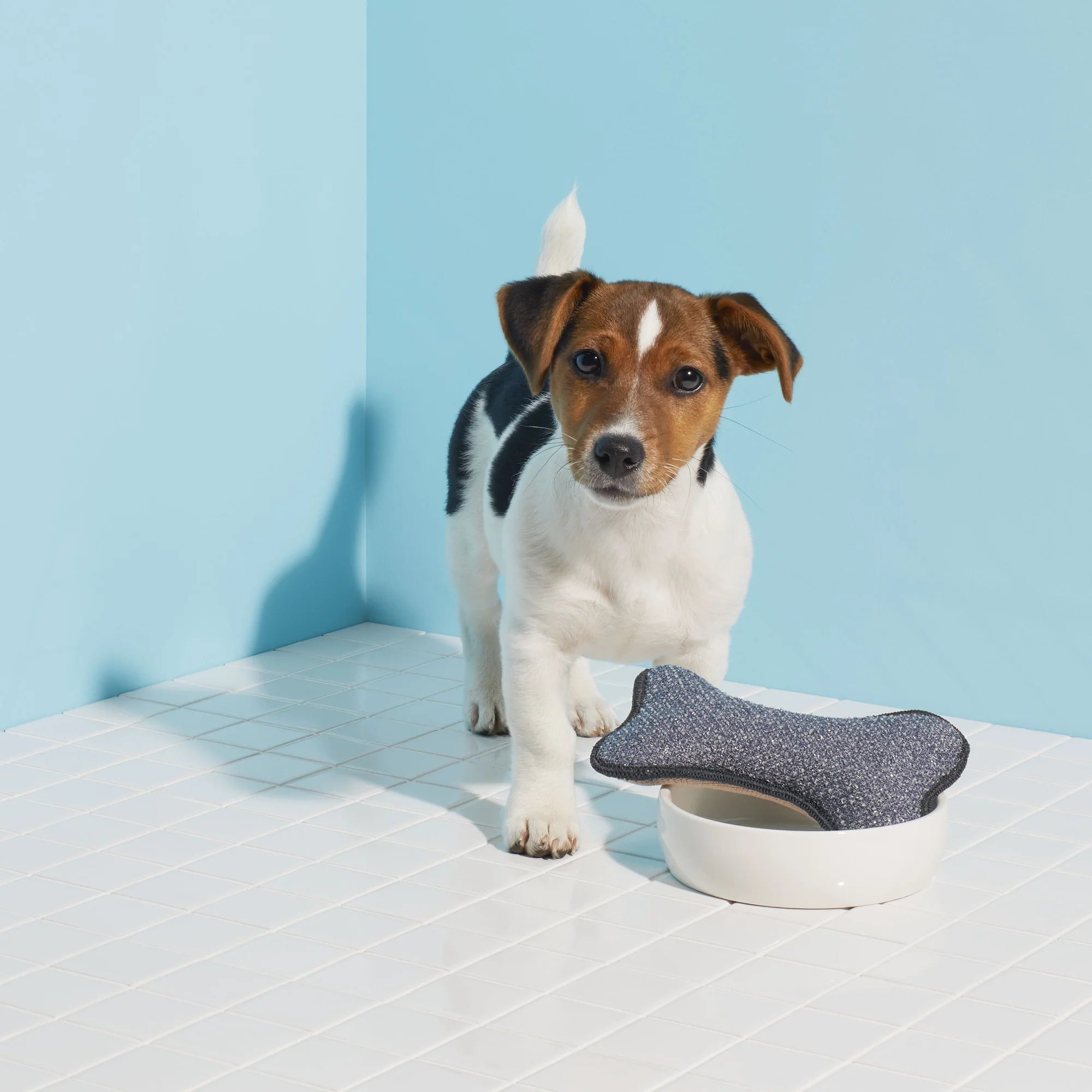 E-Cloth Pet Bowl Scrubber -70608