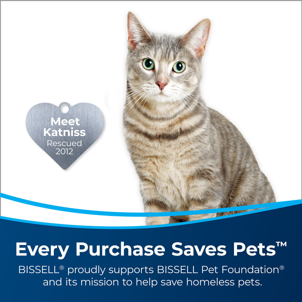 Bissell pet stain deals and odor eliminator