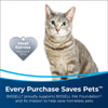 BISSELL Pet Stain & Odor Remover + Sanitize Pretreat
