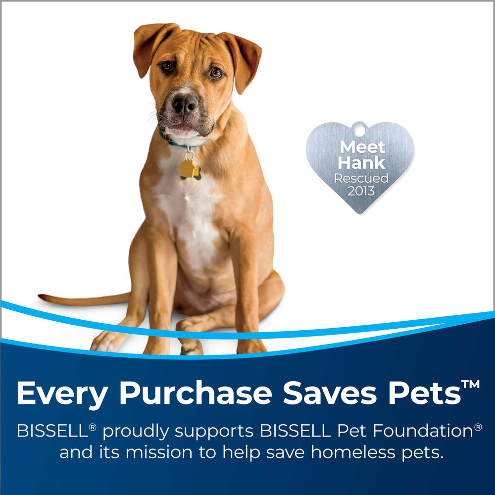 BISSELL ProHeat 2X Lift-Off Pet Upright Carpet Cleaner