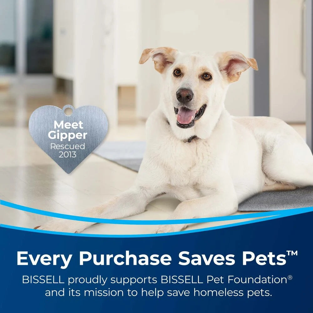 BISSELL Deep Clean + Antibacterial Carpet Formula (40 oz.)
