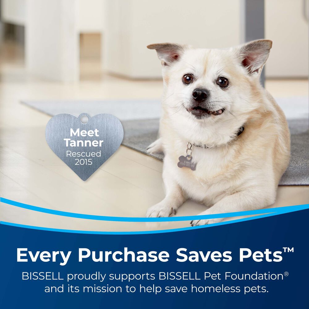 BISSELL Pet Stain Eraser Plus