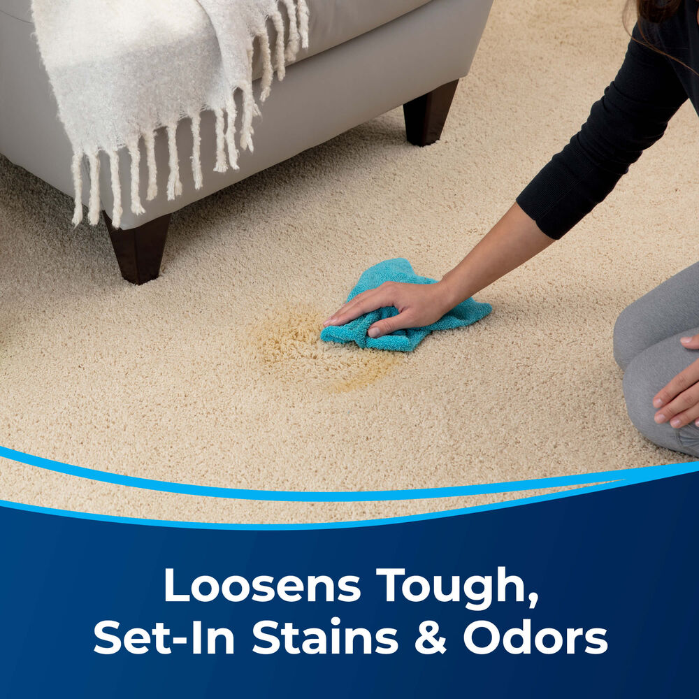 BISSELL Tough Stain Pretreat for Carpet & Upholstery (22 oz)