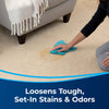 BISSELL Tough Stain Pretreat for Carpet & Upholstery (22 oz)