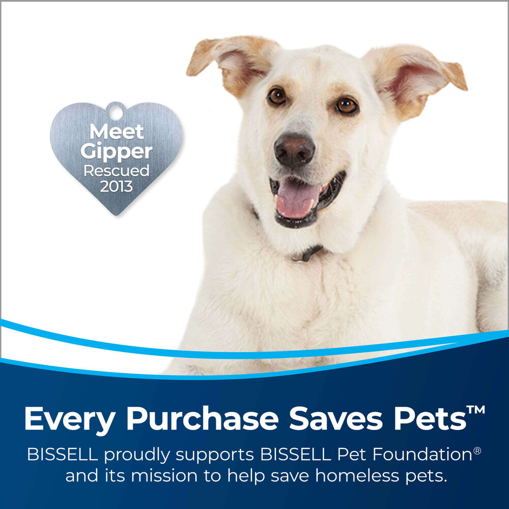 bissell pet foundation vacuum