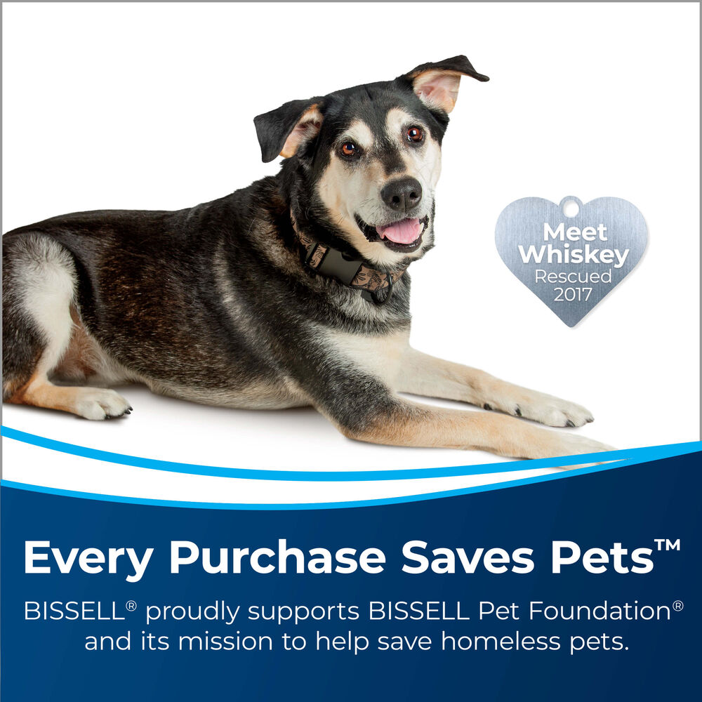 BISSELL TurboClean PowerBrush Lightweight Pet Carpet Cleaner