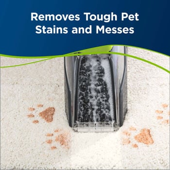 BISSELL PET Spot & Stain Carpet Cleaning Formula (32 oz.)