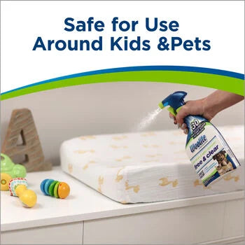 BISSELL Woolite Free & Clear Pet Stain & Odor Remover Pretreat
