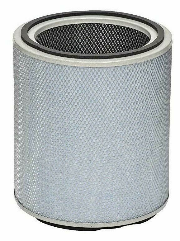 Austin Air FR450B Standard Plus Healthmate Plus Filter, White