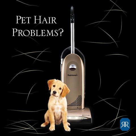 Bestvacuum for pet hair