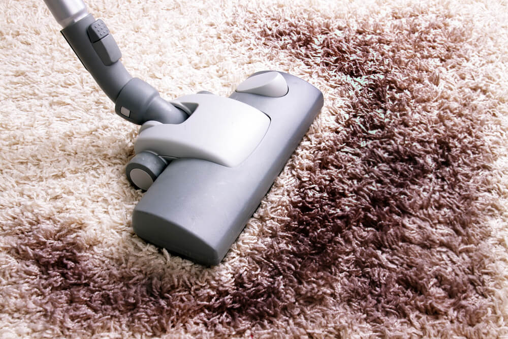 Can I Vacuum That? Items that will Destroy your Vacuum Cleaner