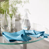 E-Cloth Window Cleaning Kit - Blue - 2 Cloths-10615B