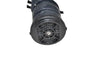 Bissell Brushroll for 23T7 Easy Vac Upright, 10.5 Inches  Part #2037627