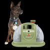 Bissell Little Green Portable Carpet Cleaner - 1400B – portable cleaner beside dog
