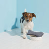E-Cloth Pet Bowl Scrubber -70608
