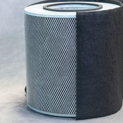 Austin Air Immunity Machine Replacement Filter - FR444A