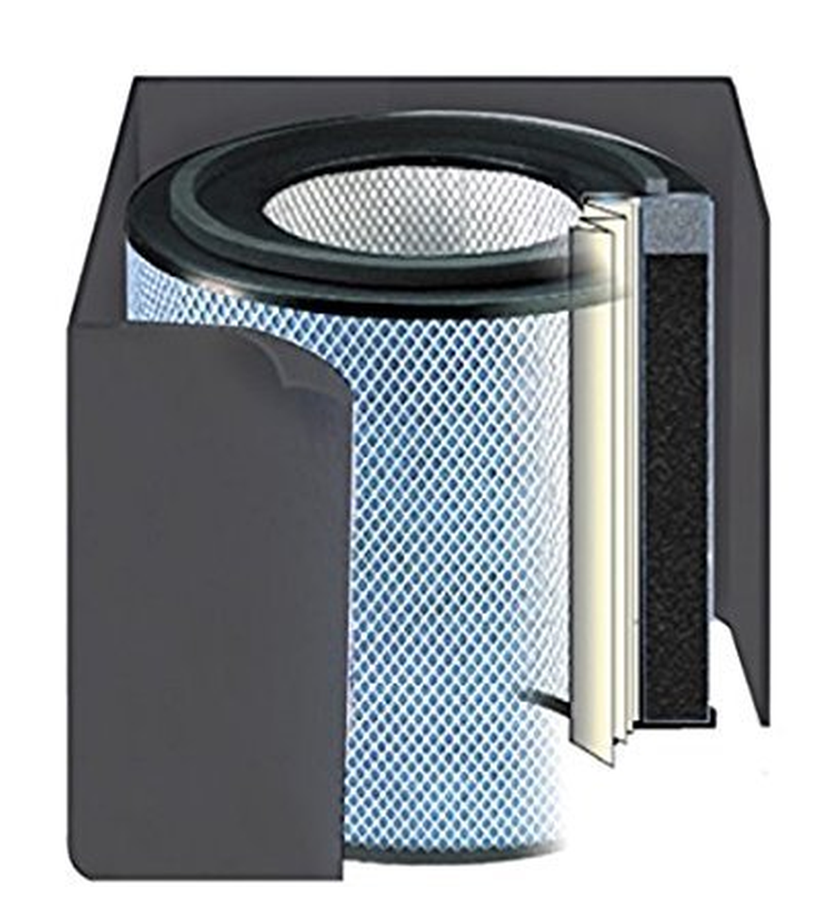 Austin Air Healthmate Jr filter-Black-FR200A, Black