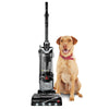 Bissell Deep Down Clean Pack #B0220 – included upright vacuum beside dog