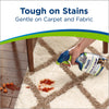 Bissell Woolite Free & Clear Pet Stain & Odor Remover Pretreat #2682 – stain remover sprayed on patterned rug