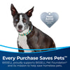 Bissell Pet Hair Eraser Turbo Rewind Vacuum Cleaner – 27909 – pet adoption support graphic