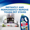 Bissell Woolite INSTAclean Pet Machine Formula 32 oz #20581 – carpet-cleaning and stain-removal graphic