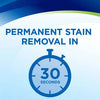 Bissell Woolite INSTAclean Pet Machine Formula 32 oz #20581 – stain-removal timing graphic