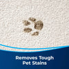 Bissell PET OXY Power Shot for Carpet & Rug Pet Stain Removal #13A21 – dirty pawprint on carpet graphic