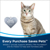 Bissell Pet Stain & Odor Remover + Sanitize Pretreat 22 oz – pet adoption support graphic