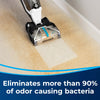 Bissell PET Stain & Odor + Antibacterial Carpet Formula (40 oz.) #1567 – carpet cleaner extracting dirt