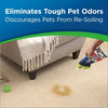 Bissell Woolite INSTAclean Pet Stain Remover #1740 – pet odor treatment illustration