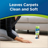 Bissell Woolite Heavy Traffic Foam Carpet Cleaner #0820 – person touching treated carpet
